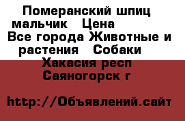 Померанский шпиц, мальчик › Цена ­ 35 000 - Все города Животные и растения » Собаки   . Хакасия респ.,Саяногорск г.